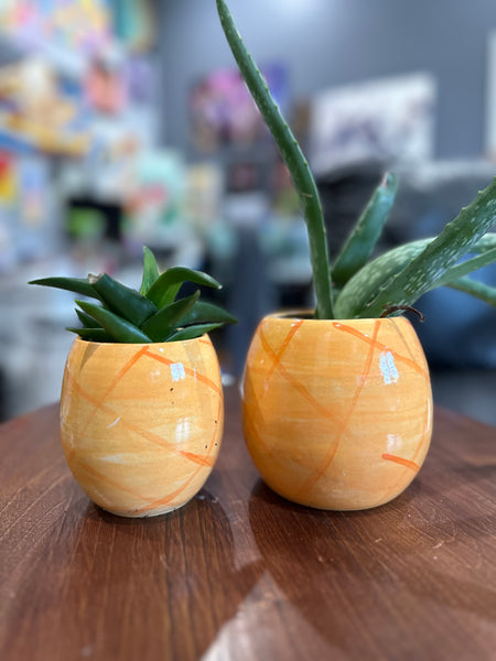 Spongebob Pineapple Planters